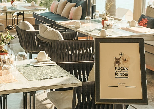 D Resort Ayvalık evcil hayvan menüsü ile köpeğe özel beslenme keyfi